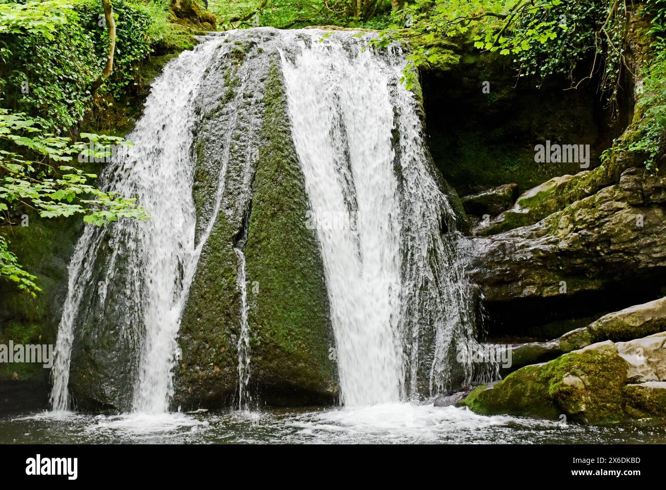 Janet`s Foss Waterfall und Gordale Beck, in der Nähe von Malham Cove und Gordale Scar in Malhamdale, Yorkshire Dales, North Yorkshire, England, Großbritannien Stockfoto Janet`s Foss Waterfall und Gordale Beck, in der Nähe von Malham Cove und Gordale Scar in Malhamdale, Yorkshire Dales, North Yorkshire, England, Großbritannien Stockfoto